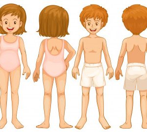 Ciências 2º Ano Fundamental – O corpo humano; o sistema ósseo e o sistema muscular.