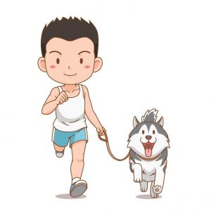 Ciências 3º Ano Fundamental – O sistema locomotor: o sistema esquelético e o sistema muscular.