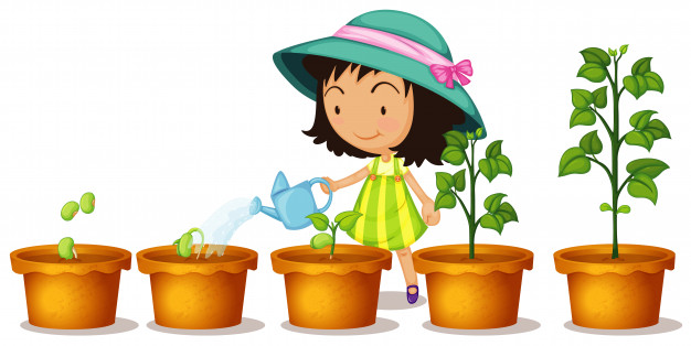 Ciências 2º Ano Fundamental - As estruturas constituintes dos vegetais e as suas funções.