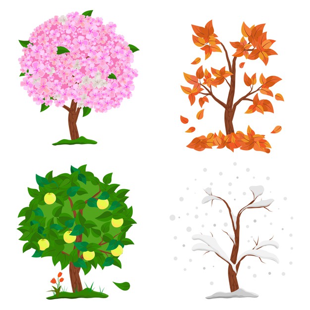 Ciências 3º Ano Fundamental - As estações do ano, pontos cardeais, a importância do Sol para a vida na Terra, os recursos naturais e a importância de sua preservação.