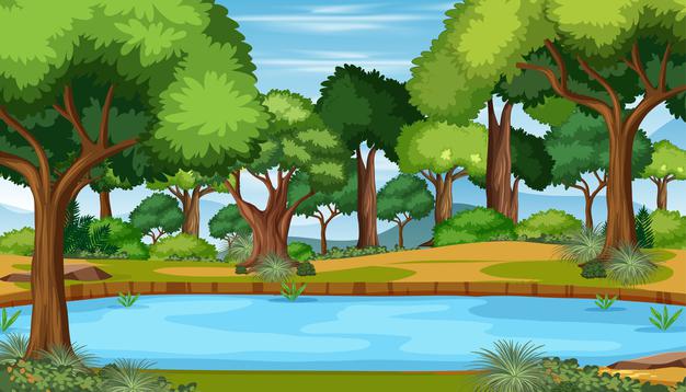 Ciências 3º Ano Fundamental - O ar e seus componentes, os estados físicos da água e as mudanças de estado físico, o ciclo da água na natureza.
