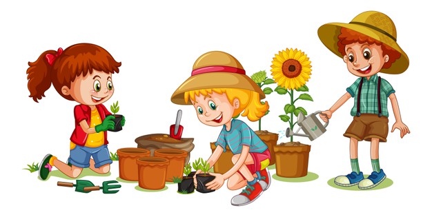 Ciências 3º Ano Fundamental - As plantas e suas estruturas componentes, o que é clorofila, a reprodução das plantas.