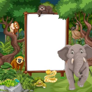 Ciências 3º Ano Fundamental – Classificação dos animais vertebrados, conceito de metamorfose.