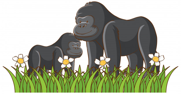 Ciências 2º Ano Fundamental - Os animais e as plantas ameaçados de extinção.