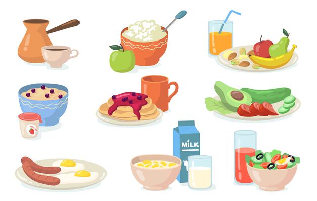Ciências 4º Ano Fundamental - Origem e funções dos alimentos: proteínas, lipídios, carboidratos, sais minerais e vitaminas, alimentos construtores, reguladores e energéticos.