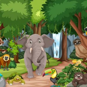 Ciências 4º Ano Fundamental – Classificação dos animais: herbívoros, carnívoros e onívoros, cadeias alimentares e os elementos das cadeias alimentares.