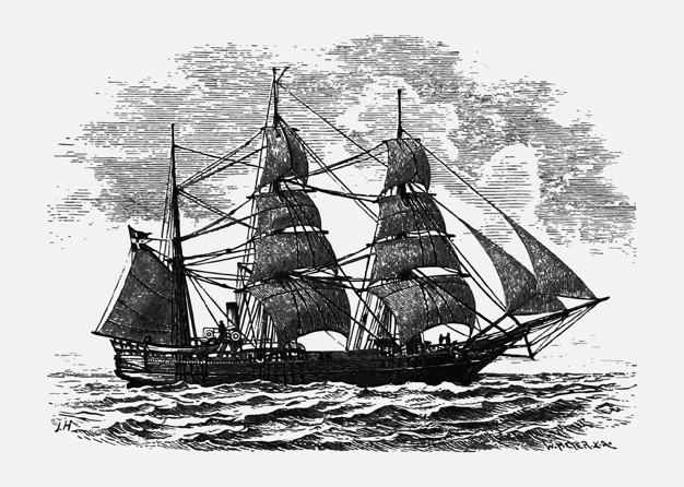 História 4º Ano Fundamental - Grandes Navegações, rotas marítimas portuguesas, rotas comerciais portuguesas para a Índia, chegada de Cabral a América, carta de Pero Vaz de Caminha, origem do nome Brasil, extração do Pau-Brasil, cristianismo e colonização, datas importantes, população Indígena no passado e presente e características da população Indígena.