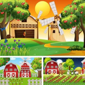 Geografia 4º Ano Fundamental – Zona rural e urbana, características da zona rural, zona Rural e a agricultura, zona rural e a pecuária, centro e subúrbio, tipos de bairros, a vida na cidade, problemas das cidades e relações entre zona rural e zona urbana.