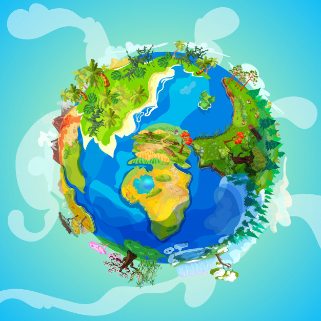 Geografia 5º Fundamental - Vegetação Brasileira: Caatinga, Cerrado, Campos, Pantanal e Litorânea; Agricultura: Minifúndio e Latifúndio; Agricultura e Pecuária brasileira.