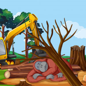 Ciências 6º Ano Fundamental – Os desequilíbrios ecológicos, desmatamentos e a ação humana, os diferentes tipos de poluição ambiental, clorofluorcarbonetos e a ameaça à camada de ozônio, eutrofização e a poluição das águas, a chuva ácida, o aquecimento global e as suas consequências.
