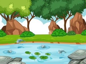 Ciências 6º Ano Fundamental – A composição da água, conceito de eletrólise da água, a densidade da água, conceitos de volume, massa e densidade.