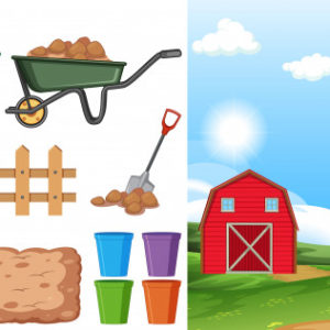 Ciências 6º Ano Fundamental – A composição dos solos, utilização do solo: a agricultura, preparação do solo: irrigação, aragem, calagem, rotação de culturas e adubação, o ciclo dos minerais no solo.