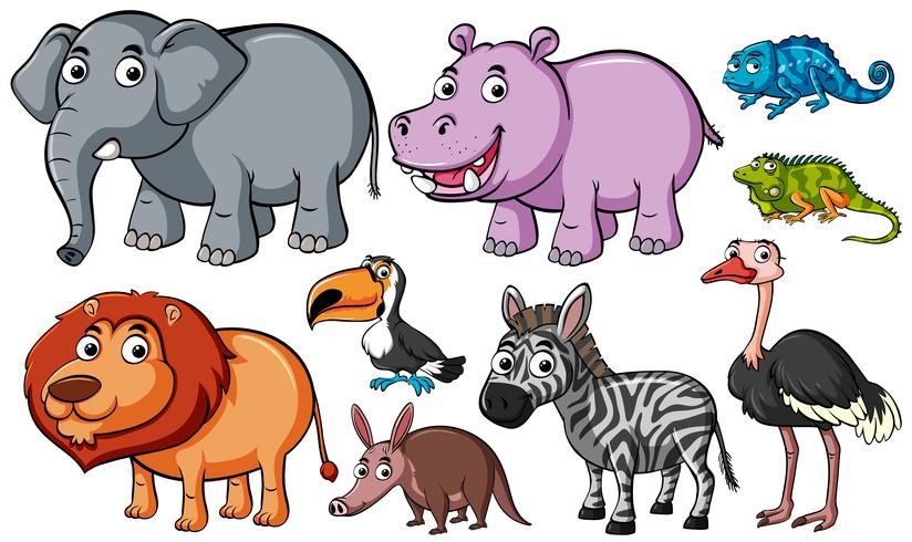 Ciências 5º Ano Fundamental - A diversidade entre os animais: habitat, alimentação, comportamento, corpo e reprodução.