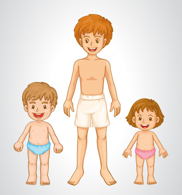 Ciências 1º Ano Fundamental - As partes do corpo humano: cabeça, tronco e membros, os órgãos dos sentidos e os cinco sentidos, principais órgãos do corpo humano.