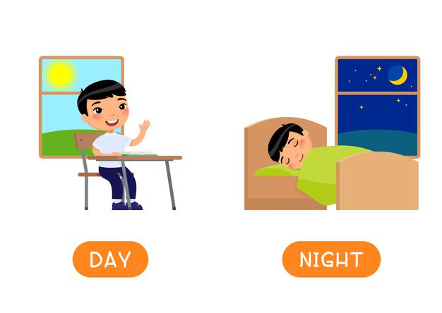 Ciências 1º Ano Fundamental - A sucessão dos dias e das noites e as tarefas cotidianas dos seres humanos, o dia e a noite na natureza: animais diurnos e animais noturnos.
