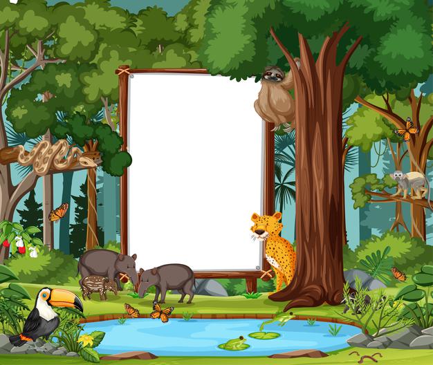 Ciências 1º Ano Fundamental - O mundo animal: animais aquáticos, terrestres e voadores.