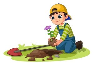 Ciências 1º Ano Fundamental – Os solos: aprendendo sobre suas funções e a importância da sua preservação.