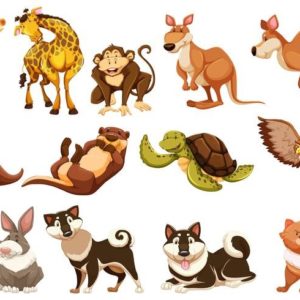 Ciências 5º Ano Fundamental – As classificações dos animais vertebrados.