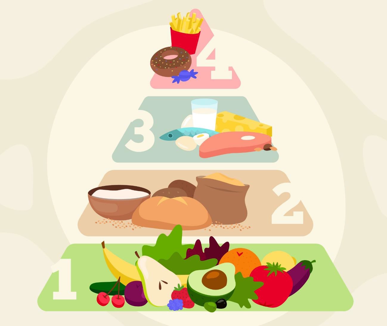 Ciências 8º Ano Fundamental - Os nutrientes e as suas funções, os carboidratos, as proteínas, pirâmide alimentar, a água, os sais minerais e as vitaminas.