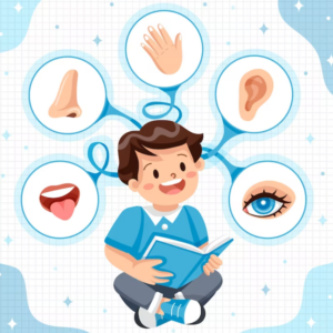 Ciências 3º Ano Fundamental – Os órgãos dos sentidos