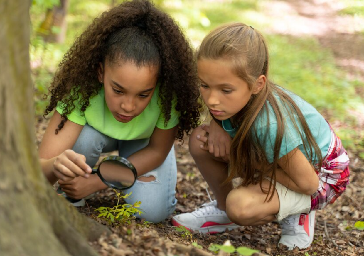 Ciências 4º Ano Fundamental - A transmissão de algumas doenças: o solo e a água