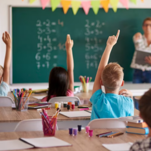 Ciências 4º Ano Fundamental – A cadeia alimentar