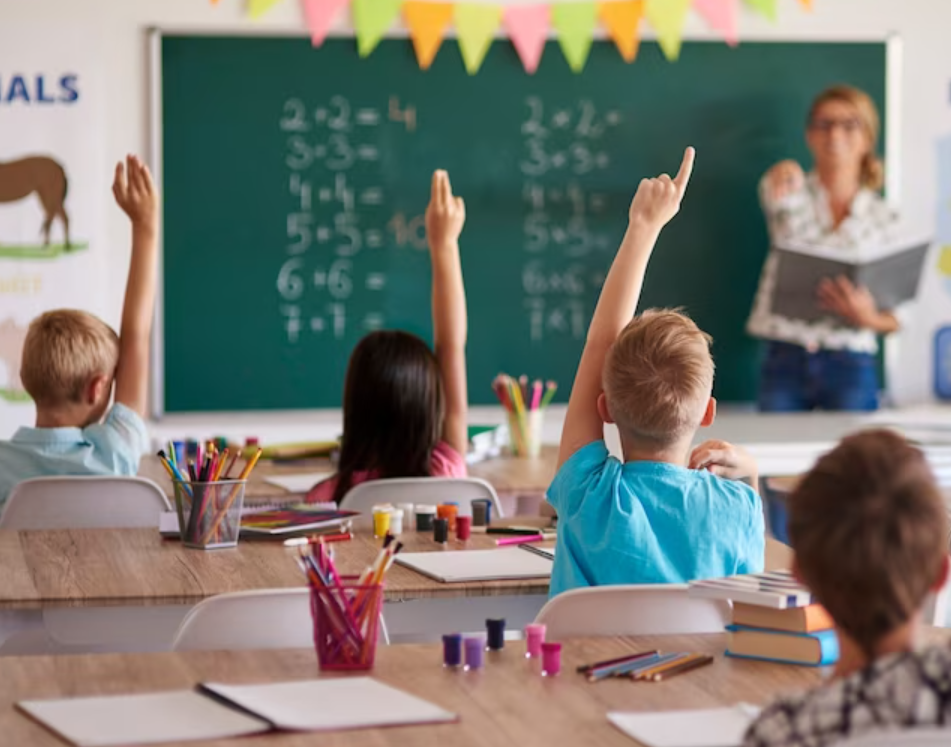 Ciências 4º Ano Fundamental - A cadeia alimentar