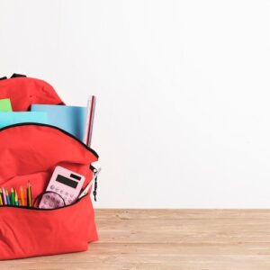 Plano de Aula de Língua Portuguesa – Aprendendo a identificar antônimos e sinônimos – 2º Ano do Ensino Fundamental.