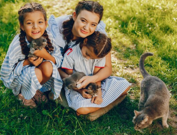 Apostila de Ciências – Os animais e as suas características externas: organizando os animais em grupos – Habilidade BNCC: EF03CI06.